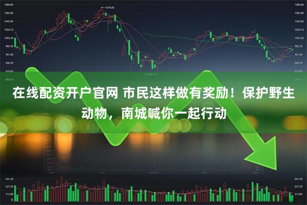 在线配资开户官网 市民这样做有奖励！保护野生动物，南城喊你一起行动