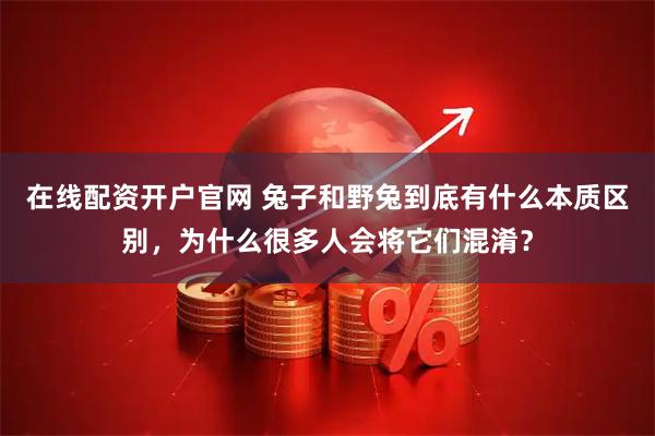 在线配资开户官网 兔子和野兔到底有什么本质区别，为什么很多人会将它们混淆？